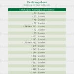 Nub Antrag Vorlage Süß Beatmungsdauer