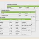Numbers Vorlage Rechnung Kostenlos Erstaunlich 11 Vorlage Zeiterfassung