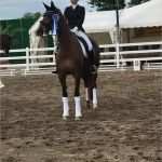 Nürnberger Versicherung Kündigen Vorlage Fabelhaft Nürnberger Burgpokal Persönliches Bestergebnis Für