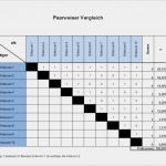 Nutzwertanalyse Excel Vorlage Inspiration Paarweiser Vergleich Nutzwertanalyse Six Sigma Black Belt