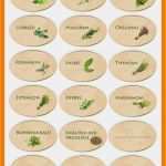 O2 Vollmacht Vorlage Bewundernswert 15 Etiketten Vorlagen