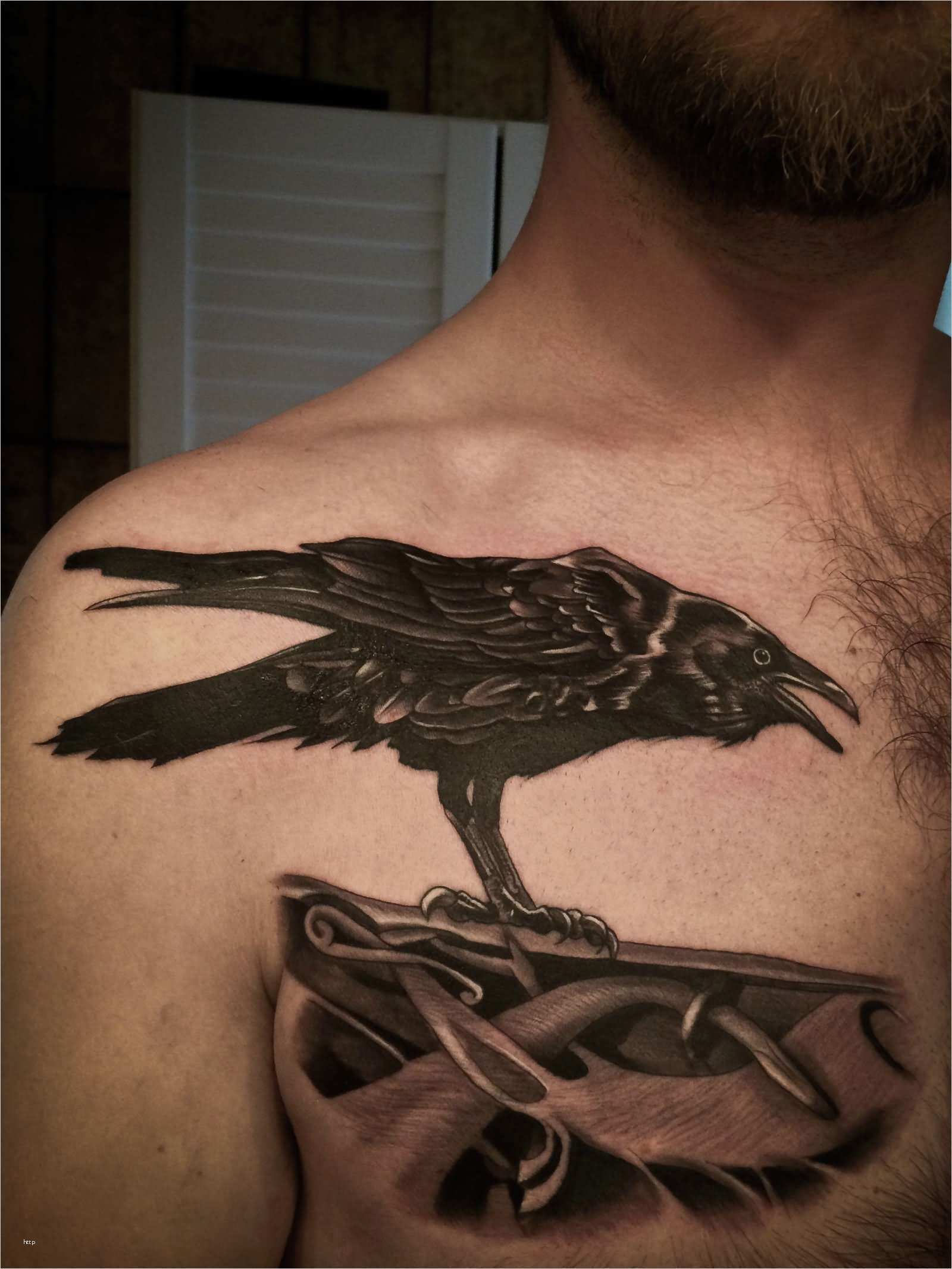Odins Raben Tattoo Vorlagen Genial 35 Odin’s Raven Tattoo Designs and