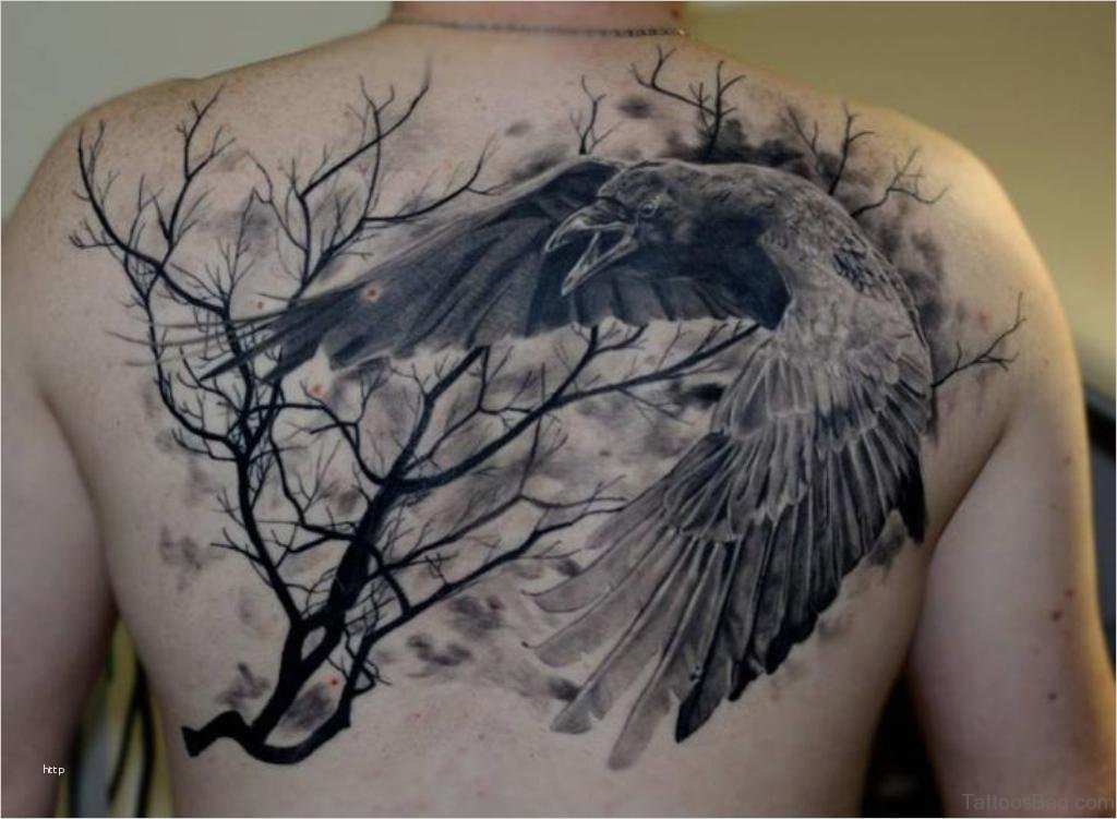 Odins Raben Tattoo Vorlagen Schön 38 top Crow Tattoos for Back