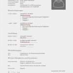 Offizielles Anschreiben Vorlage Erstaunlich Fizielles Schreiben Vorlage Briefe Muster Brief