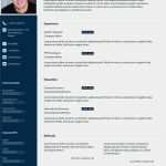 One Pager Vorlage Luxus Example 3 I Will Design Resume Awesome Cv for You for