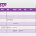 Onenote Aufgabenliste Vorlage Einzigartig Wöchentliche Aufgabenliste Templates Fice