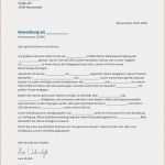 Online Bewerbung Vorlagen Pdf Angenehm 18 Lebenslauf Vorlage Pdf Vorlagen123 Vorlagen123