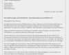 Online Bewerbung Vorlagen Pdf Inspiration Bewerbungsschreiben Muster Download