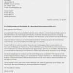 Online Bewerbung Vorlagen Pdf Inspiration Bewerbungsschreiben Muster Download