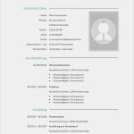 Online Vorlage Lebenslauf Erstaunlich Lebenslauf Als Berufseinsteiger Kostenlose Vorlage