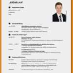 Online Vorlage Lebenslauf Erstaunlich Lebenslauf Vorlage Line Wunderbar Tabellarischer