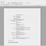 Open Office Lebenslauf Vorlage Best Of Lebenslauf Schüler Download