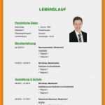 Open Office Lebenslauf Vorlage Erstaunlich 8 9 Kind Im Lebenslauf