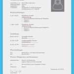 Open Office Lebenslauf Vorlage Wunderbar 20 Openoffice Vorlage Lebenslauf