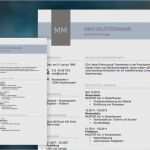 Openoffice Lebenslauf Vorlage 2017 Bewundernswert Bewerbung Um Einen Arbeitsplatz Muster Kostenlos