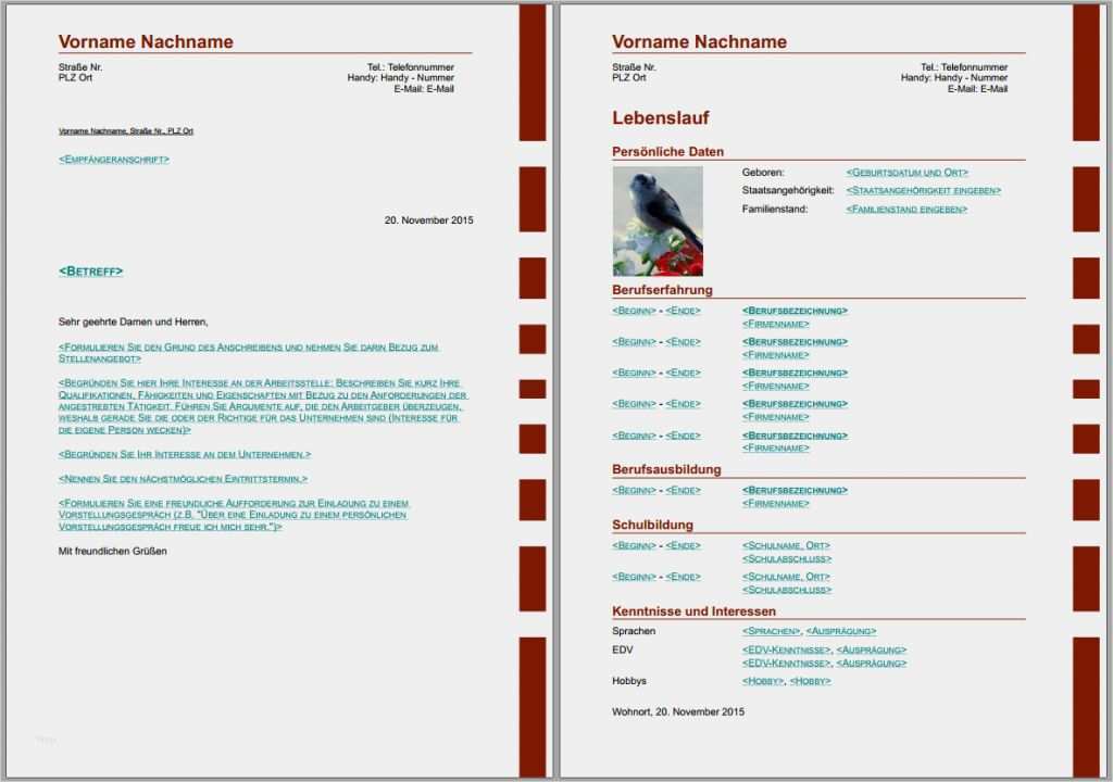 Openoffice Lebenslauf Vorlage 2017 Genial Lebenslauf Vorlage Libreoffice Lebenslauf 2017