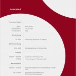 Openoffice Vorlage Erstellen Genial Musterbewerbung Vorlagen Bewerbung Agentur