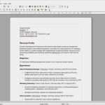 Openoffice Vorlage Lebenslauf Bewundernswert Lebenslauf Englisch Download