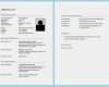 Openoffice Vorlage Lebenslauf Genial Lebenslauf Vorlage Openoffice Kostenlos – Vorlagen 1001