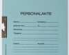 Ordner Deckblatt Vorlage Neu 63 Hübsch Deckblatt Personalakte Vorlage Kostenlos Bilder