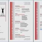 Ordner Rückenschilder Vorlage Kostenlos Genial 15 ordner Rückenschilder Vorlage Kostenlos