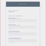 Ordnerregister Vorlage Word Wunderbar Leitz Register Vorlage Word Bewerbungsschreiben Designer