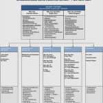 Organigramm Erstellen Excel Vorlage Kostenlos Genial organigramm Erstellen Vorlage Beste Gallery organigramm