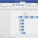 Organigramm Erstellen Kostenlos Vorlage Angenehm organigramm Vorlage Mac Papacfo