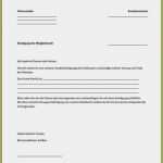 Organigramm Vorlage Pdf Erstaunlich Briefumschlag Vorlage Pdf Papacfo