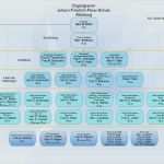 Organigramm Vorlage Powerpoint Download Schönste organigramm Vorlage Download Inspiration Mitarbeiter