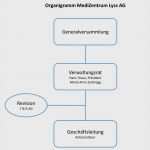 Organigramm Vorlage Powerpoint Download Wunderbar Aerzte Im Medizentrum Lyss organigramm