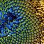 Organisationshandbuch Vorlage Word Erstaunlich Nett Stellenbeschreibung Fragebogen Vorlage Fotos