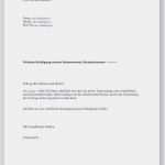 Otelo Handyvertrag Kündigen Vorlage Erstaunlich Genial Kündigung Schreiben Handyvertrag