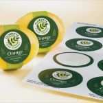 Ovale Etiketten Vorlagen Großartig Vielfalt Der Produktvermarktungsetiketten