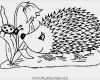 Pages Briefpapier Vorlage Erstaunlich 114 Dessins De Coloriage Hérisson à Imprimer