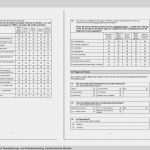 Pages Fragebogen Vorlage Elegant Erfreut Fragebogen Vorlage Wort Doc Galerie