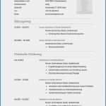 Pages Lebenslauf Vorlage Wunderbar Bewerbung Muster Lebenslauf Einzigartig Lebenslauf Vorlage
