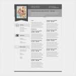 Pages Vorlage Lebenslauf Inspiration Lebenslauf Vorlage Mac Pages Gute 8 Lebenslauf Latex