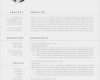 Pages Vorlage Lebenslauf Inspiration Vorlage Lebenslauf Pages