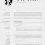 Pages Vorlage Lebenslauf Inspiration Vorlage Lebenslauf Pages