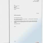 Paket Beschriften Vorlage Word Hübsch Begleitschreiben Nachforschungsauftrag Paket Muster