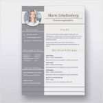 Paket Etikett Vorlage Angenehm 15 Päckchen Beschriften