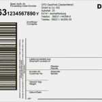 Paket Etikett Vorlage Luxus Erklärungen Zum Dpd Paketaufkleber