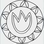 Paketaufkleber Vorlage Kostenlos Schön 44 Schön Foto Schmetterling Schablone Zum Ausschneiden