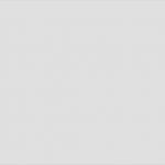 Paketschein Vorlage Pdf Einzigartig Easy Express Nachforschungsauftrag