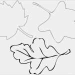 Paper Shape Vorlagen Kostenlos Luxus Herbst Basteln Mit Kindern Ideen Anleitungen Und Vorlagen