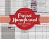 Password Manager Excel Vorlage Cool Master Projektmanagement Excel Vorlage sofort