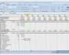 Password Manager Excel Vorlage Süß Business Wissen Management Security software Fur