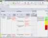 Password Manager Excel Vorlage Wunderbar Excel Vorlage Projekt – De Excel