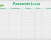 Password Manager Excel Vorlage Wunderbar Vorlage Passwort Liste Kennwort Liste Download